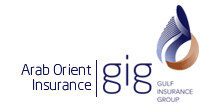 arab orient insurance logo